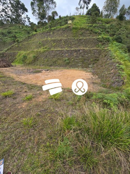 Lote en venta en Guarne, 2000 m² · foto 6 de 7
