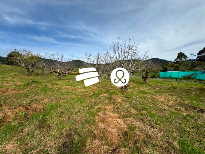 Lote en venta en Guamito, La Ceja, 2000 m² · foto 6 de 8