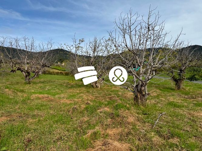 Lote en venta en Guamito, La Ceja, 2000 m² · foto 7 de 8