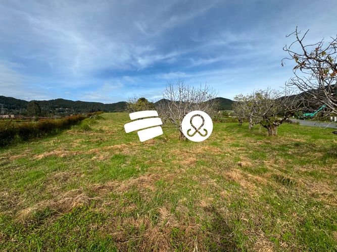 Lote en venta en Guamito, La Ceja, 2000 m² · foto 8 de 8