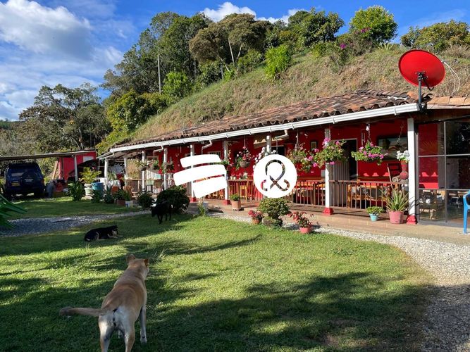 Finca en venta en La Charanga, Guarne, 10300 m² · foto 2 de 17