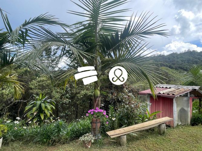 Finca en venta en La Charanga, Guarne, 10300 m² · foto 9 de 17