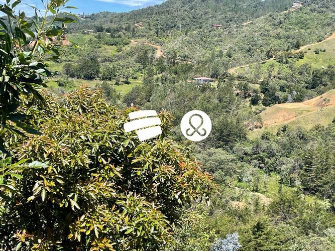 Finca en venta en La Charanga, Guarne, 10300 m² · foto 14 de 17
