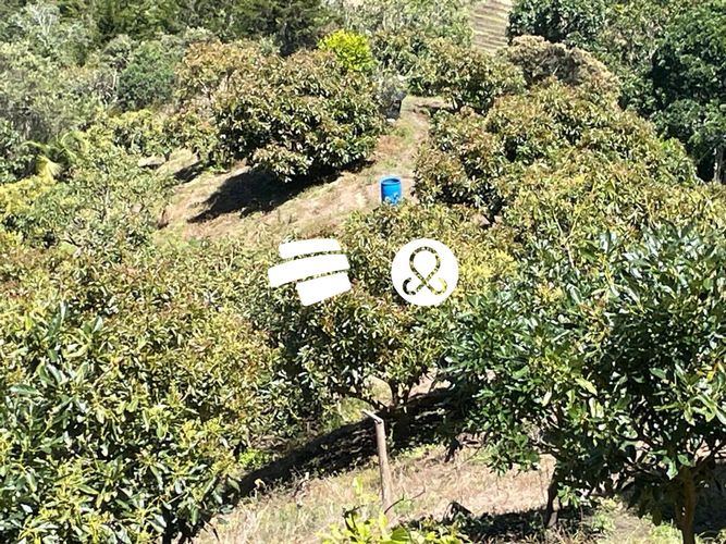 Finca en venta en La Charanga, Guarne, 10300 m² · foto 15 de 17