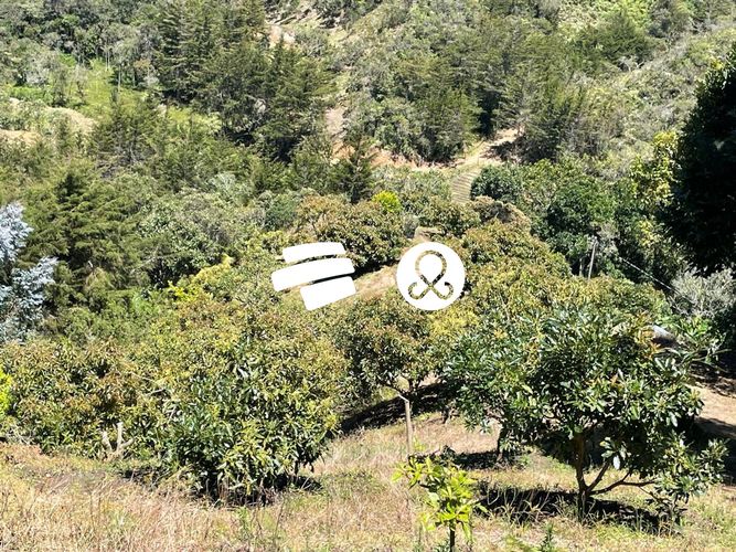 Finca en venta en La Charanga, Guarne, 10300 m² · foto 16 de 17