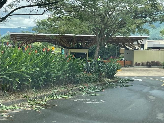 Lote en venta en Cerritos, Pereira, 2600 m² · foto 4 de 7