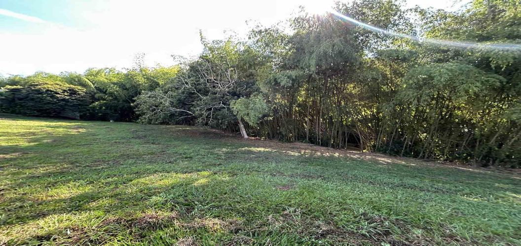 Lote en venta en Cerritos, Pereira · foto 5 de 24