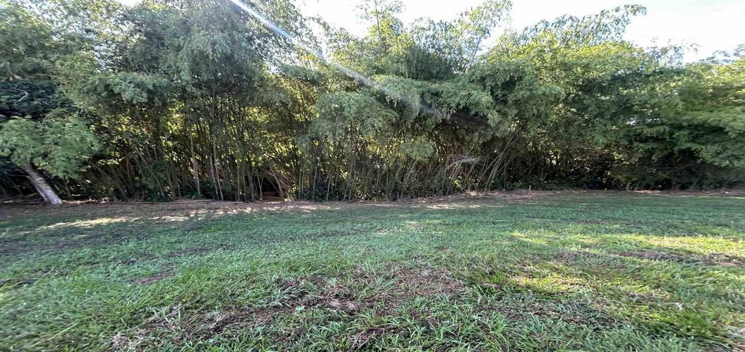 Lote en venta en Cerritos, Pereira · foto 6 de 24