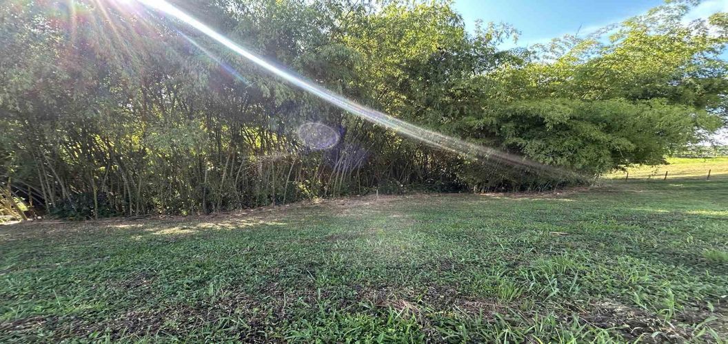 Lote en venta en Cerritos, Pereira · foto 9 de 24