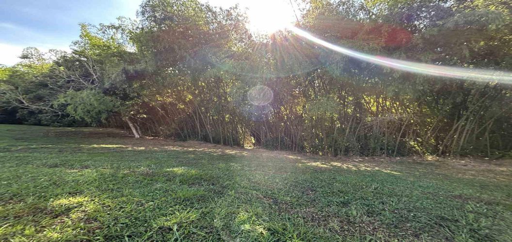 Lote en venta en Cerritos, Pereira · foto 10 de 24