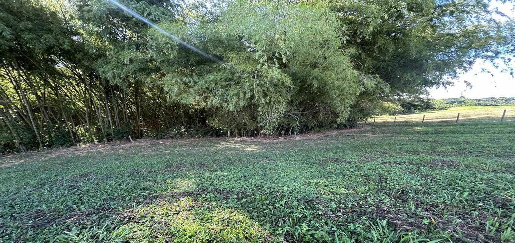 Lote en venta en Cerritos, Pereira · foto 13 de 24