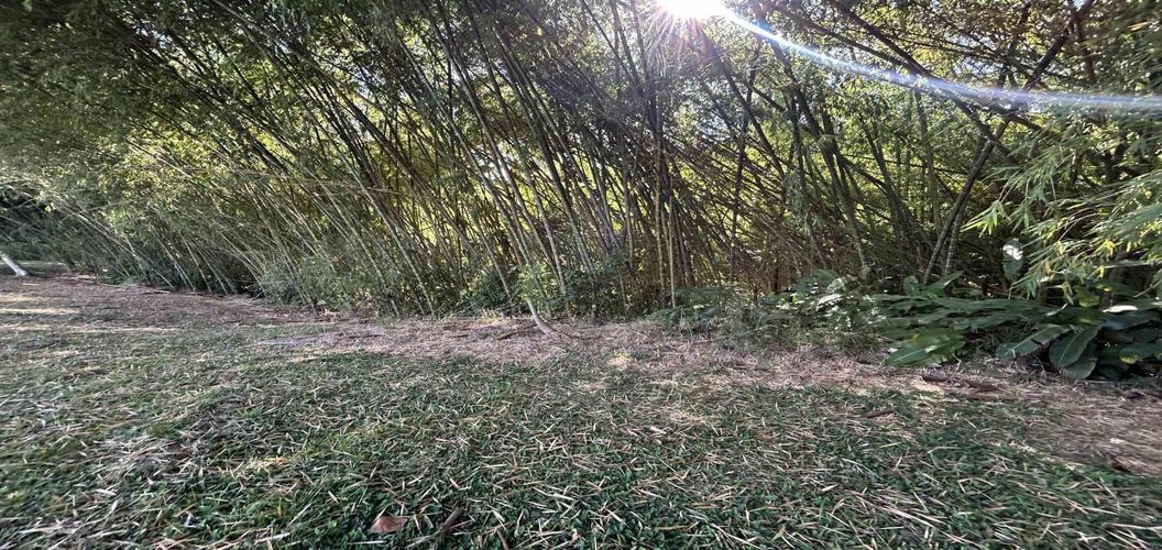 Lote en venta en Cerritos, Pereira · foto 14 de 24