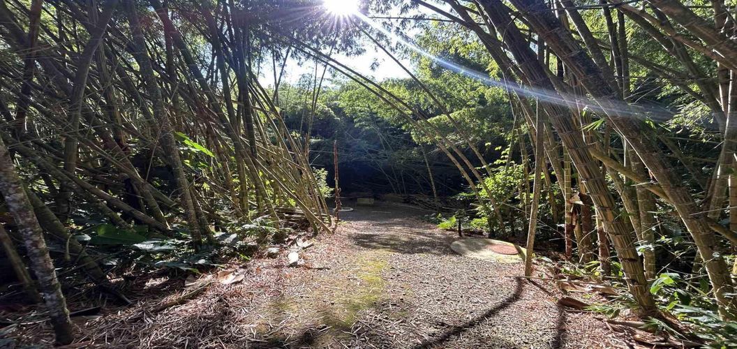 Lote en venta en Cerritos, Pereira · foto 16 de 24