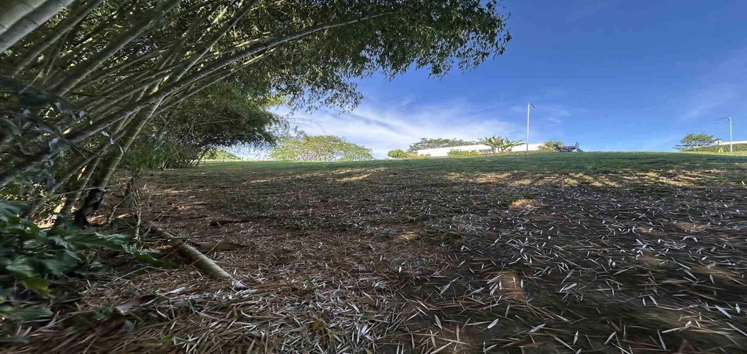 Lote en venta en Cerritos, Pereira · foto 17 de 24
