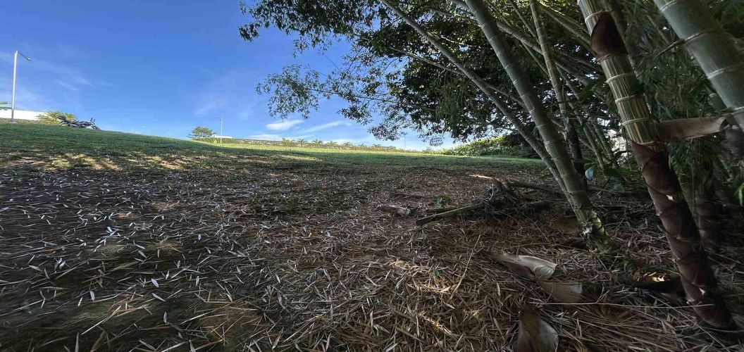 Lote en venta en Cerritos, Pereira · foto 19 de 24