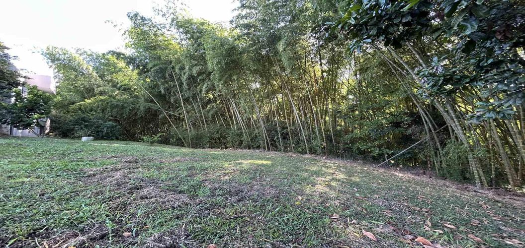 Lote en venta en Cerritos, Pereira · foto 20 de 24