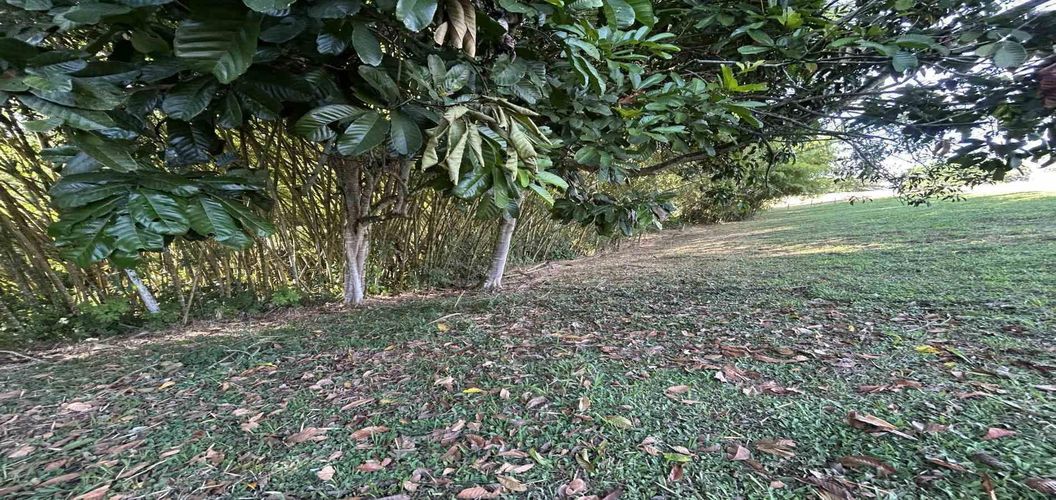Lote en venta en Cerritos, Pereira · foto 21 de 24