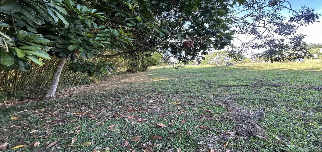 Lote en venta en Cerritos, Pereira · foto 22 de 24
