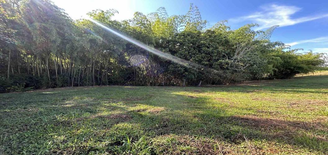 Lote en venta en Cerritos, Pereira · foto 24 de 24