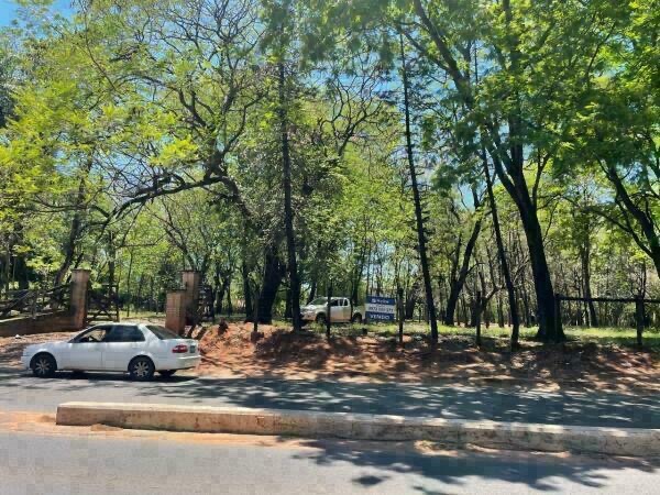 VENDO 6 HECTÁREAS CON 3059 m2 EN SAN ANTONIO SOBRE RUTA — foto 2