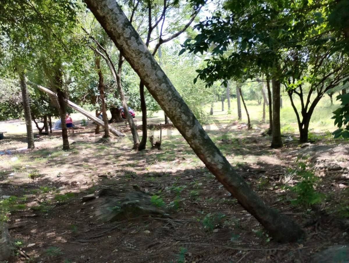 Exclusiva Estancia Ganadera en Loma Grande, Cordillera: Oportunidad Única de Inversión y Desarrollo — foto 3