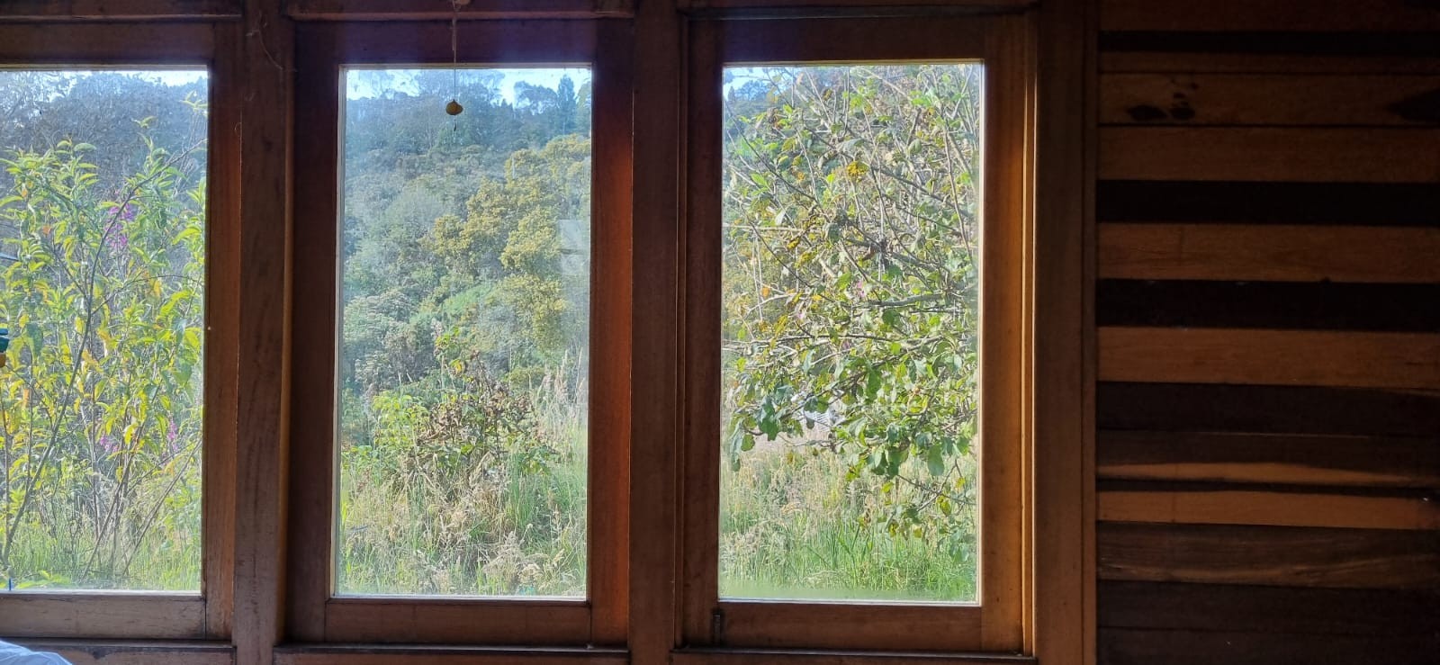 Casa en venta en Hoya Teusaca, Bogotá · foto 5 de 14