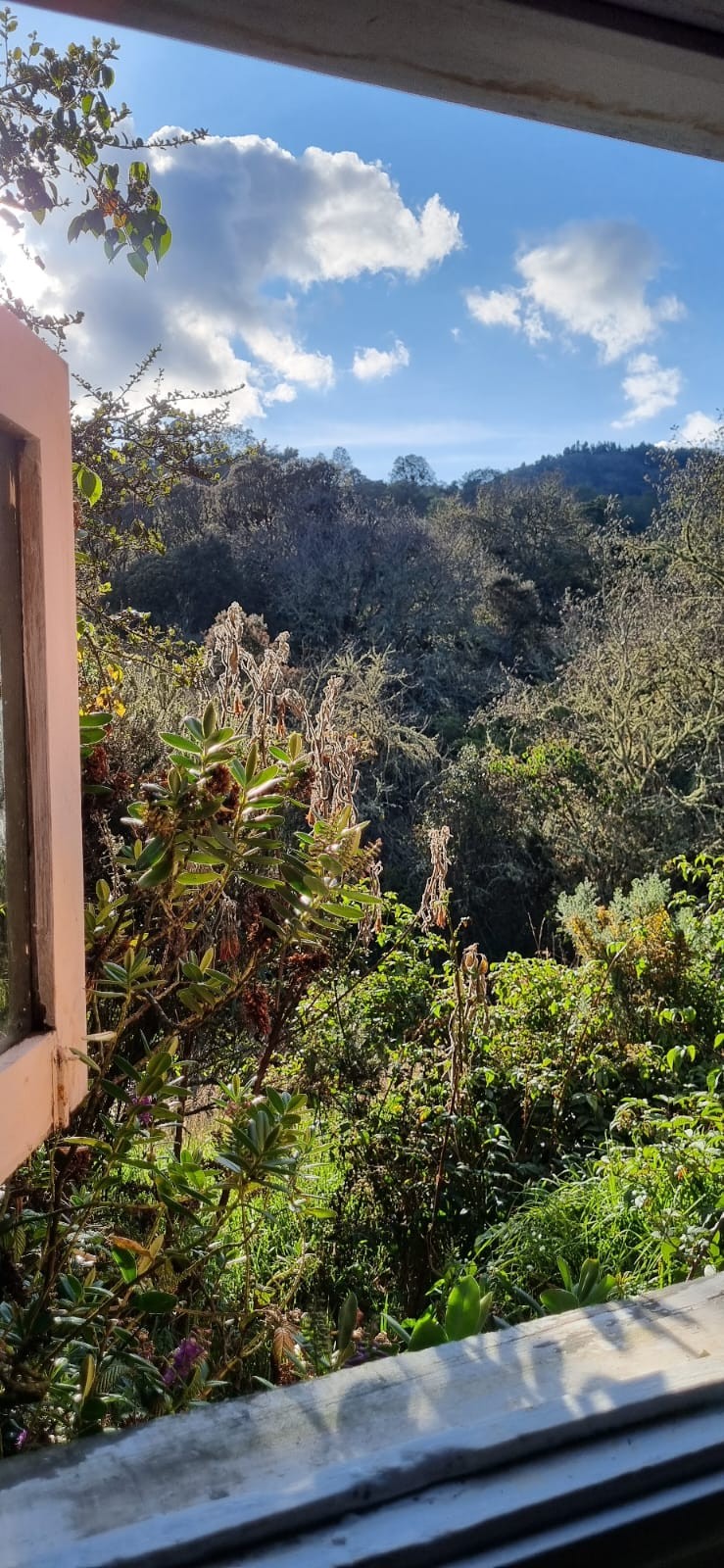 Casa en venta en Hoya Teusaca, Bogotá · foto 14 de 14