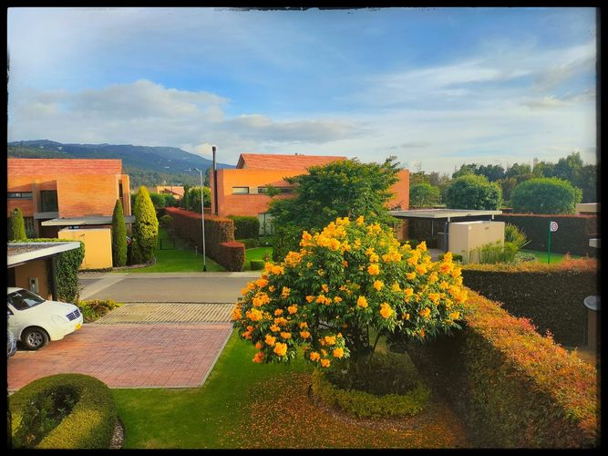 Casa de 3 alcobas en venta en Hacienda Fontanar, Chía, 300 m² · foto 22 de 24