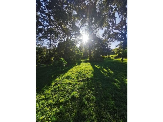 Lote en venta en El Portento, El Retiro, 2934 m² · foto 7 de 7