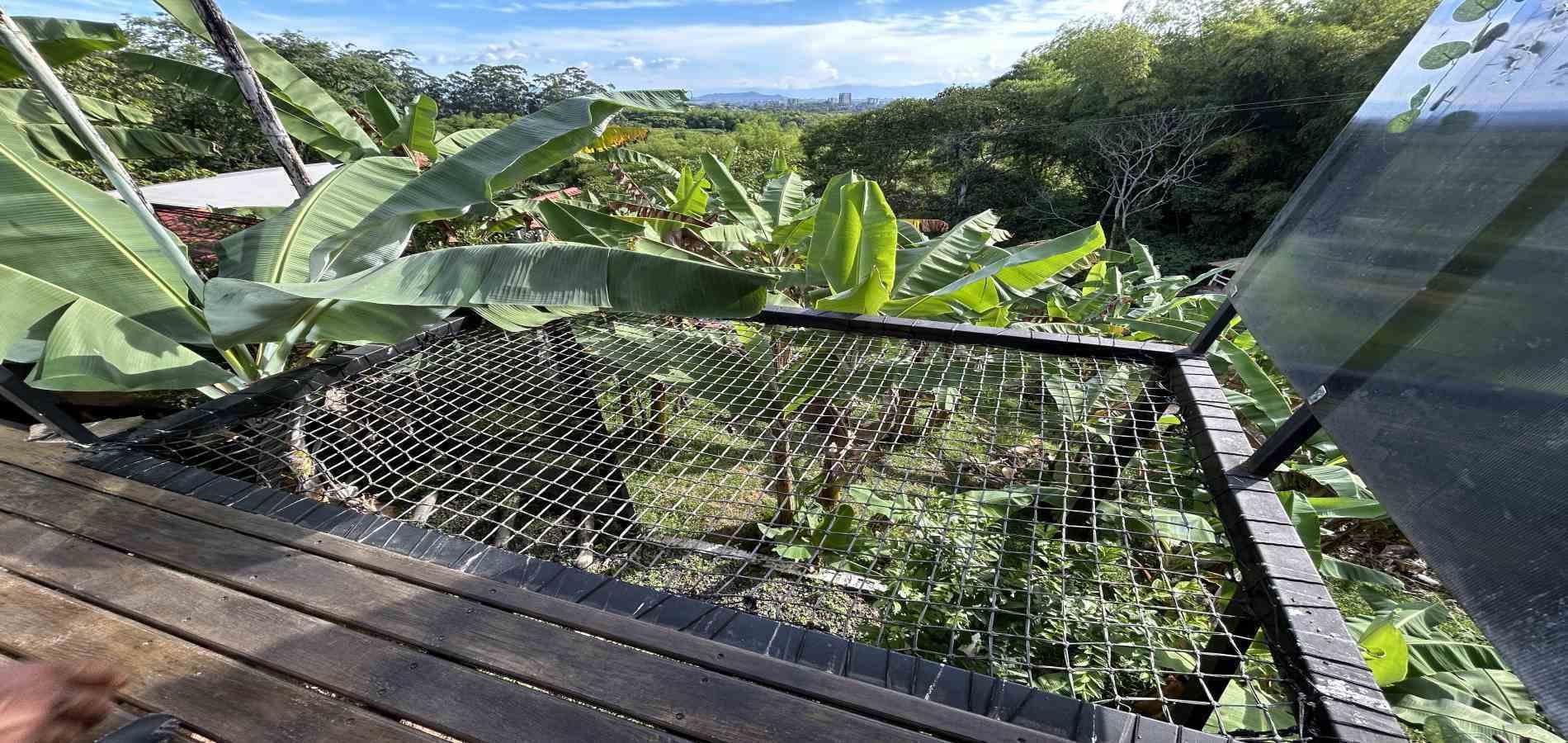 Casa en venta en Combia Baja, Pereira · foto 5 de 24