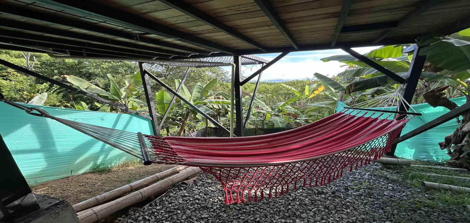 Casa en venta en Combia Baja, Pereira · foto 16 de 24