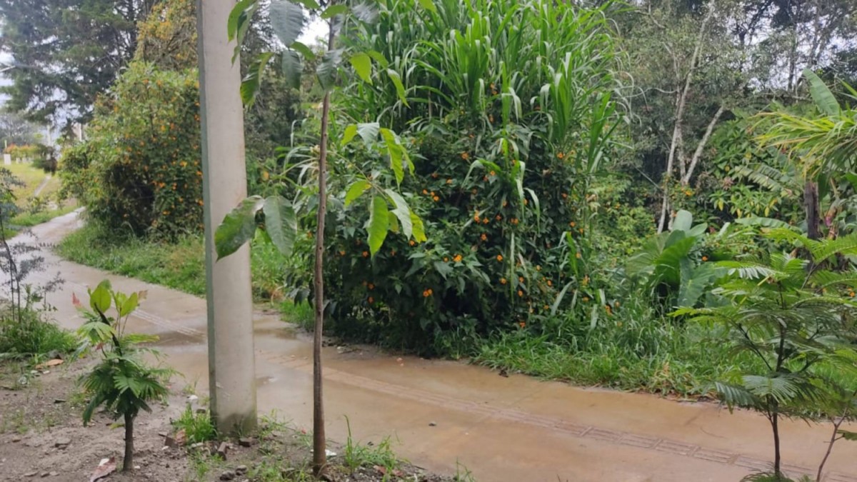 Apartamento en arriendo en Llano Grande, Rionegro · foto 10 de 15