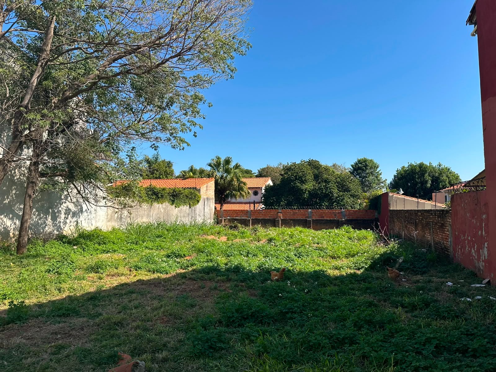 Terreno en venta en Luque — foto 3