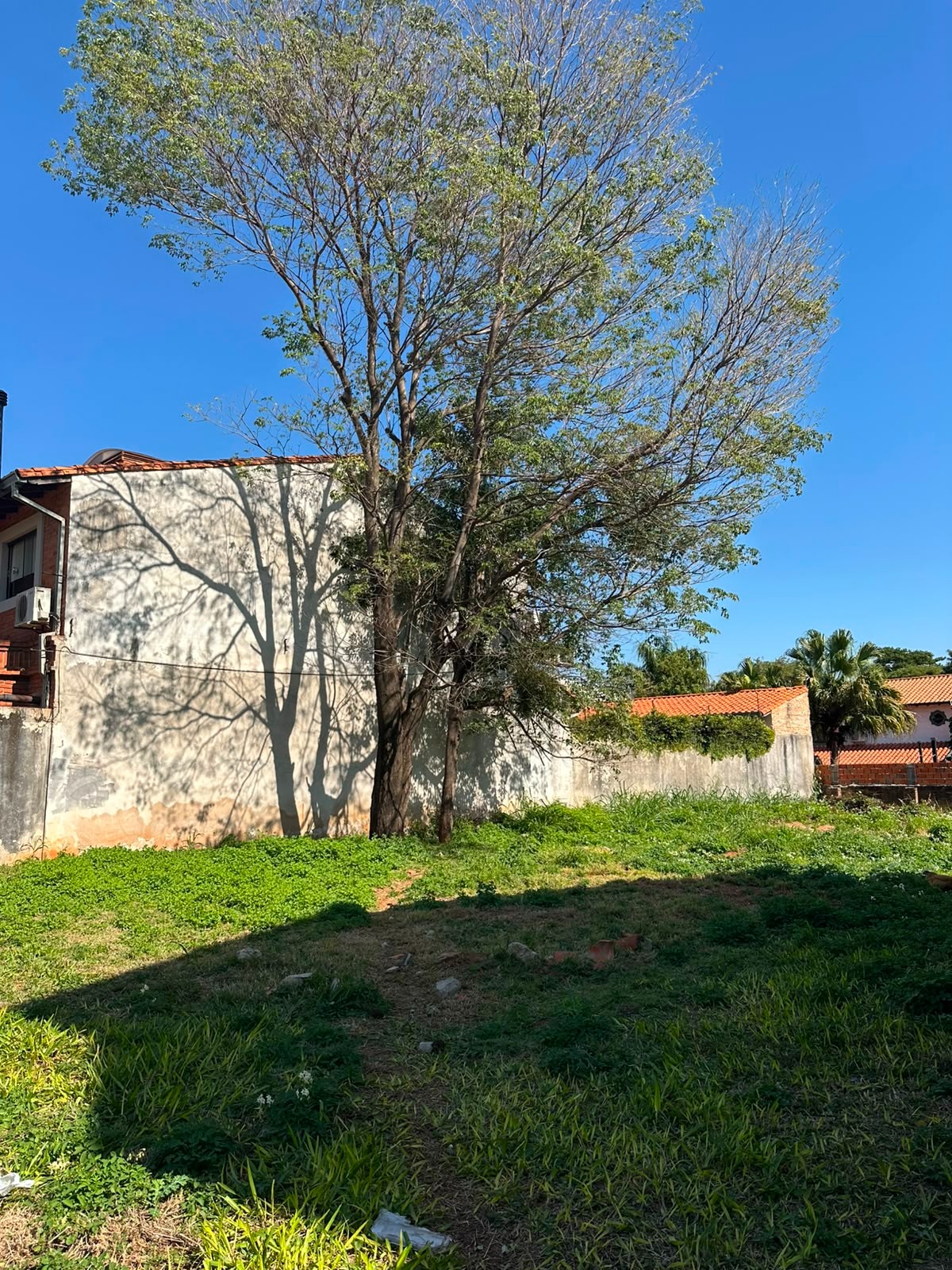 Terreno en venta en Luque — foto 2