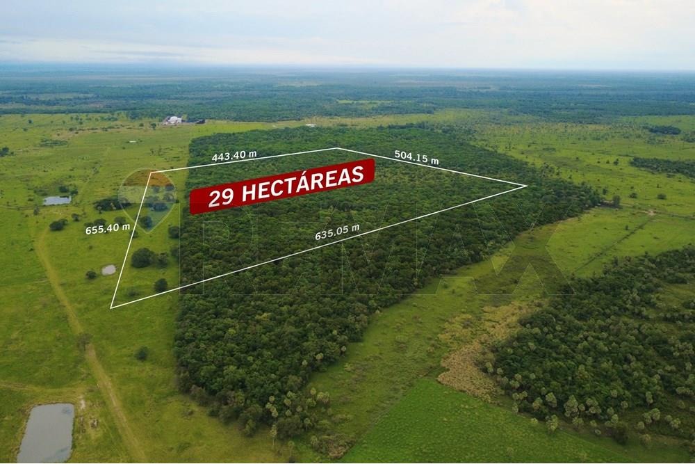 AMPLIO TERRENO DE 29 HECTÁREAS EN VILLA HAYES EN VENTA — foto 2