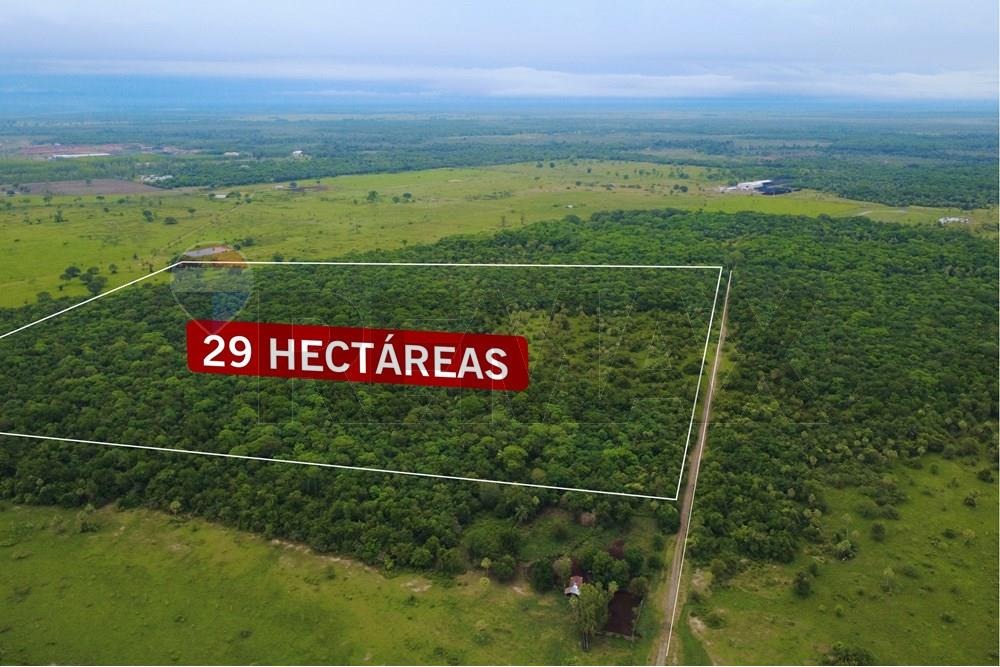 AMPLIO TERRENO DE 29 HECTÁREAS EN VILLA HAYES EN VENTA — foto 3