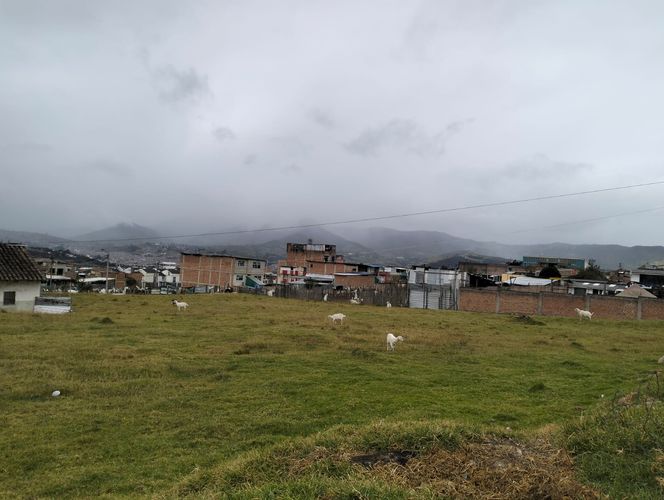 Lote en venta en Anganoy, Pasto, 3818 m² · foto 8 de 10