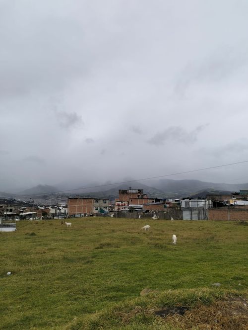 Lote en venta en Anganoy, Pasto, 3818 m² · foto 9 de 10