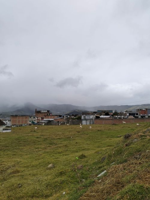 Lote en venta en Anganoy, Pasto, 3818 m² · foto 10 de 10