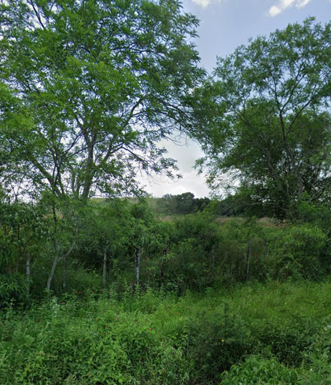 Vendo 2.6 ha a una cuadra de la ruta transchaco en Benjamin Aceval. — foto 2