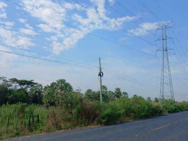VENDO 128000m2 EN FALCÓN SOBRE RUTA INTERNACIONAL ARGENTINA — foto 3