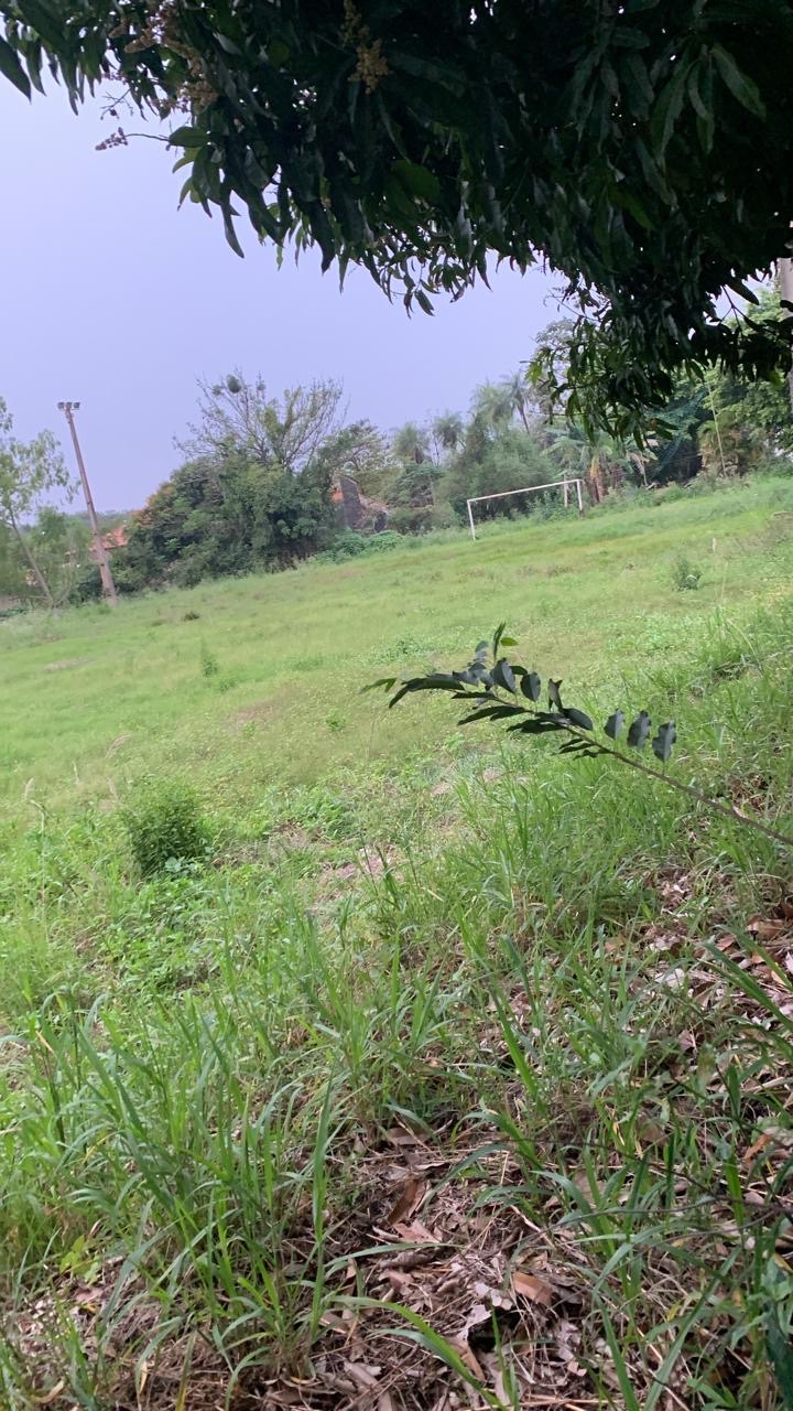 VENDO 3692 m2 DE TERRENO EN LUQUE — foto 2