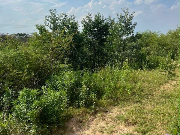 VENDO 12,8 HECTÁREAS EN CIUDAD DEL ESTE SOBRE RUTA — foto 3