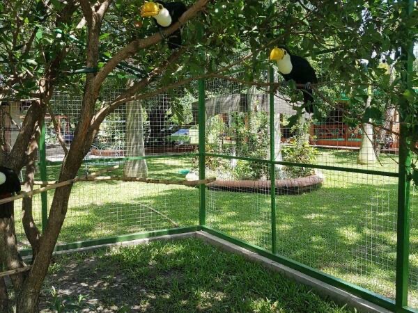 VENDO 1 HECTÁREA A ORILLAS DEL RÍO PARAGUAY — foto 3