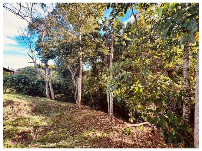 Lote en venta en Cerritos, Pereira, 2707 m² · foto 7 de 7