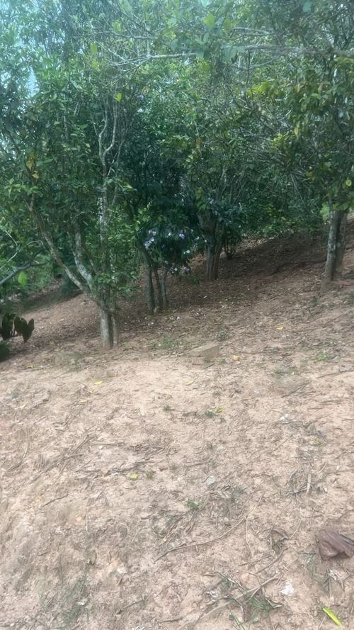 Casa de 4 alcobas en venta en Ruitoque, Floridablanca · foto 21 de 24