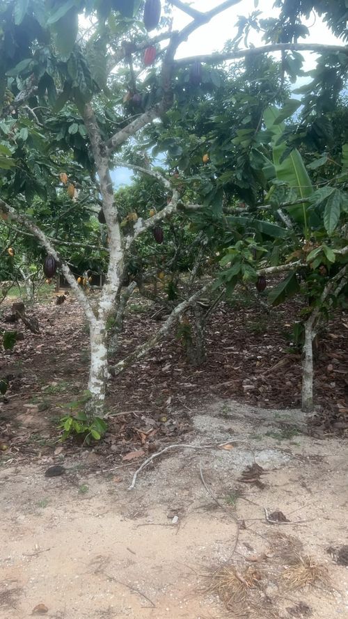 Casa de 4 alcobas en venta en Ruitoque, Floridablanca · foto 24 de 24