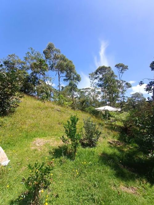 Finca en arriendo en El Porvenir, Rionegro, 6200 m² · foto 10 de 21