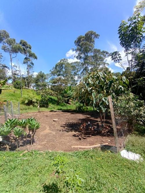 Finca en arriendo en El Porvenir, Rionegro, 6200 m² · foto 21 de 21