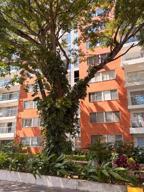 Apartamento de 3 alcobas en venta en Valle Del Lili, Cali, 86 m² · foto 12 de 12